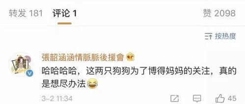 吃瓜娱乐账号起名,揭秘热门吃瓜娱乐账号背后的趣味故事