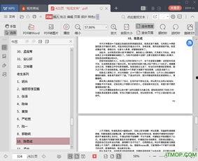 421页pdf娱乐圈吃瓜文件电子版,421页吃瓜文件深度解析